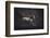 Solitare-Heike Willers-Framed Photographic Print