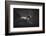 Solitare-Heike Willers-Framed Photographic Print