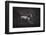 Solitare-Heike Willers-Framed Photographic Print