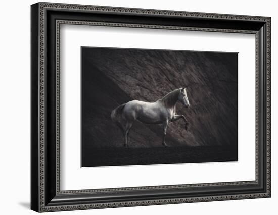 Solitare-Heike Willers-Framed Photographic Print