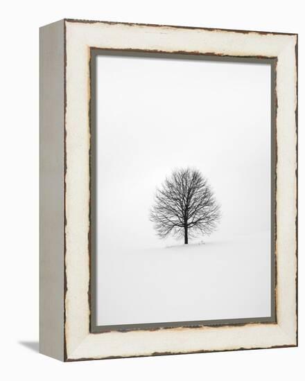 Solitary 1-Design Fabrikken-Framed Premier Image Canvas