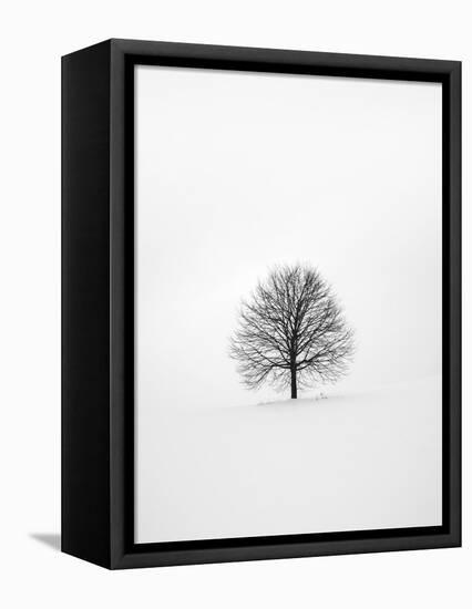 Solitary 1-Design Fabrikken-Framed Premier Image Canvas