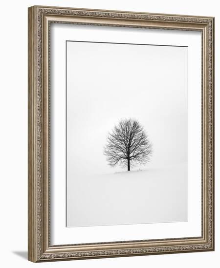 Solitary 1-Design Fabrikken-Framed Photographic Print