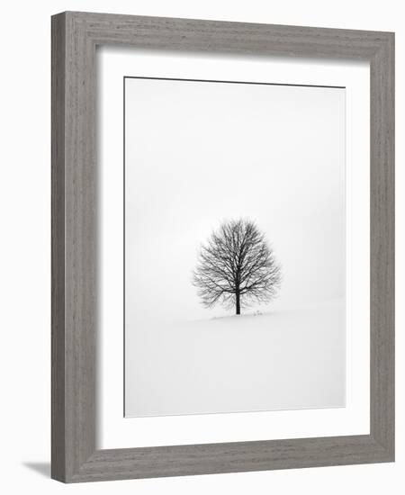 Solitary 1-Design Fabrikken-Framed Photographic Print