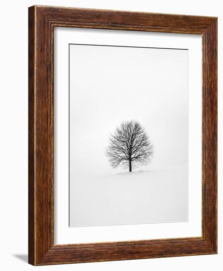 Solitary 1-Design Fabrikken-Framed Photographic Print