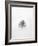 Solitary 1-Design Fabrikken-Framed Photographic Print