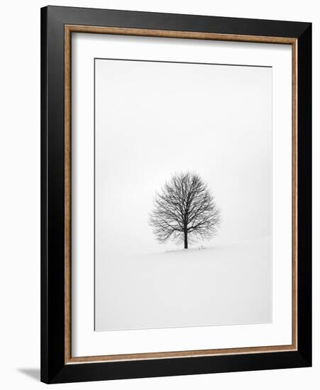 Solitary 1-Design Fabrikken-Framed Photographic Print