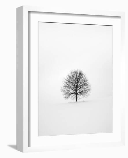 Solitary 1-Design Fabrikken-Framed Photographic Print