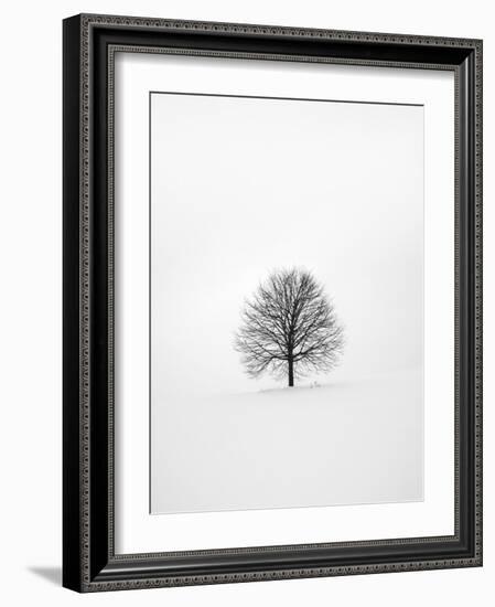 Solitary 1-Design Fabrikken-Framed Photographic Print