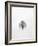 Solitary 1-Design Fabrikken-Framed Photographic Print