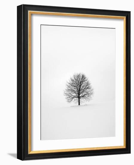 Solitary 1-Design Fabrikken-Framed Photographic Print