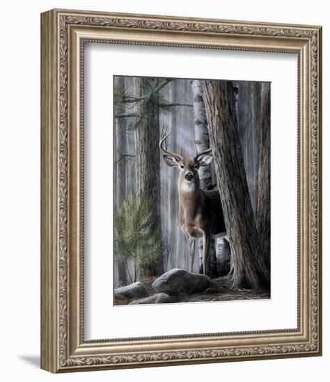 Solitary Buck-Kevin Daniel-Framed Art Print