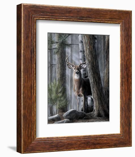 Solitary Buck-Kevin Daniel-Framed Art Print