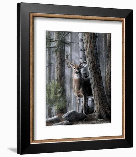 Solitary Buck-Kevin Daniel-Framed Art Print