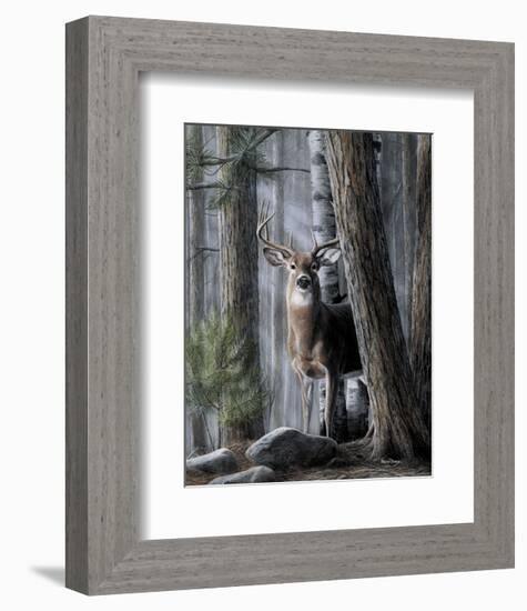 Solitary Buck-Kevin Daniel-Framed Art Print