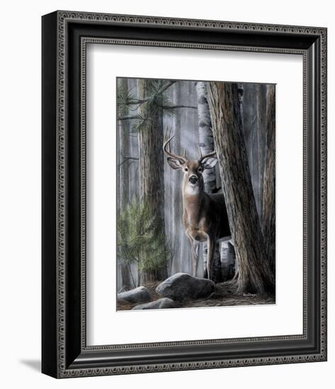 Solitary Buck-Kevin Daniel-Framed Art Print