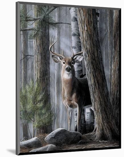 Solitary Buck-Kevin Daniel-Mounted Art Print