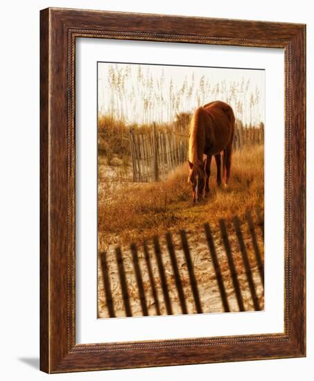 Solitary Light-PH Burchett-Framed Photographic Print