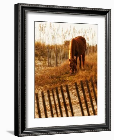 Solitary Light-PH Burchett-Framed Photographic Print