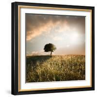 Solitary Oak Tree in the Sunset-ollirg-Framed Photographic Print