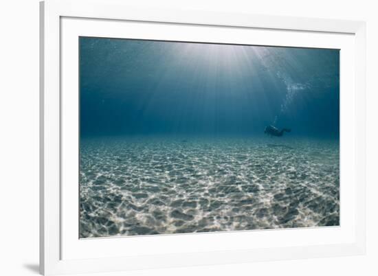 Solitary Scuba Diver in Shallow Sandy Bay, with Sun Beams, Naama Bay-Mark Doherty-Framed Photographic Print