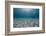 Solitary Scuba Diver in Shallow Sandy Bay, with Sun Beams, Naama Bay-Mark Doherty-Framed Photographic Print