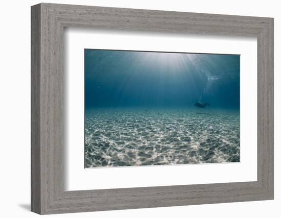 Solitary Scuba Diver in Shallow Sandy Bay, with Sun Beams, Naama Bay-Mark Doherty-Framed Photographic Print