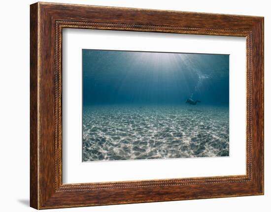 Solitary Scuba Diver in Shallow Sandy Bay, with Sun Beams, Naama Bay-Mark Doherty-Framed Photographic Print