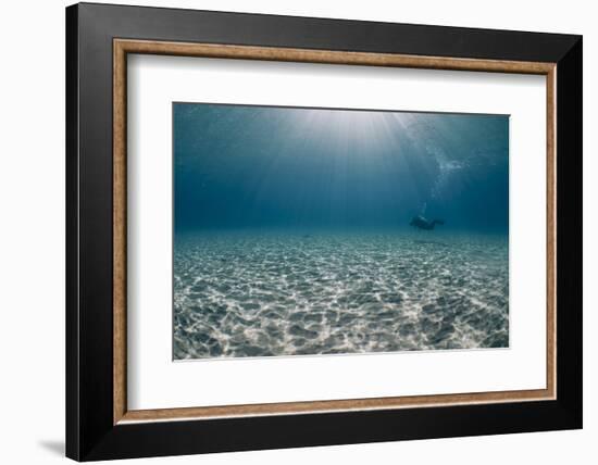 Solitary Scuba Diver in Shallow Sandy Bay, with Sun Beams, Naama Bay-Mark Doherty-Framed Photographic Print