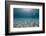 Solitary Scuba Diver in Shallow Sandy Bay, with Sun Beams, Naama Bay-Mark Doherty-Framed Photographic Print