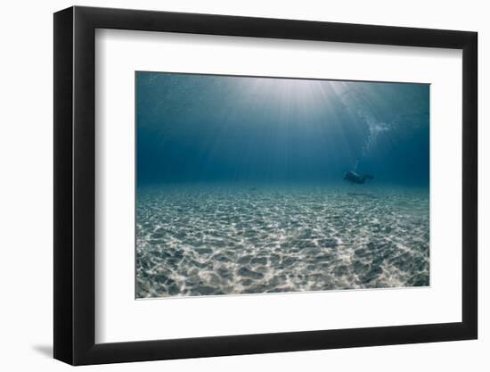 Solitary Scuba Diver in Shallow Sandy Bay, with Sun Beams, Naama Bay-Mark Doherty-Framed Photographic Print