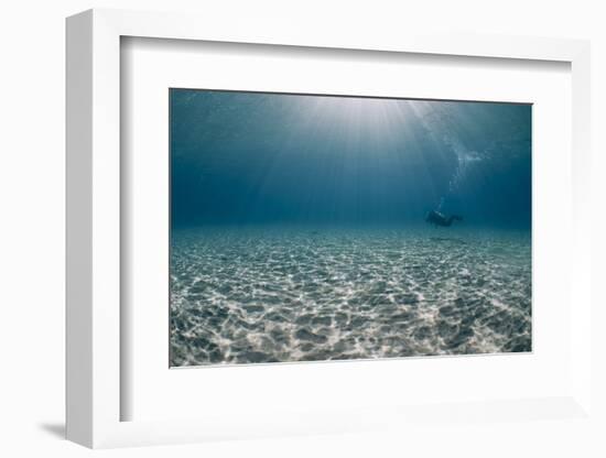 Solitary Scuba Diver in Shallow Sandy Bay, with Sun Beams, Naama Bay-Mark Doherty-Framed Photographic Print