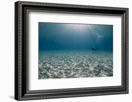 Solitary Scuba Diver in Shallow Sandy Bay, with Sun Beams, Naama Bay-Mark Doherty-Framed Photographic Print