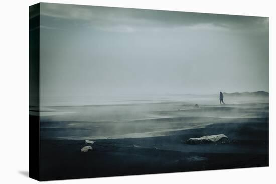 Solitary Shores-Andrew Geiger-Framed Stretched Canvas
