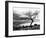 Solitary Tree on the Shore of Loch Etive, Highlands, Scotland, UK-Nadia Isakova-Framed Photographic Print