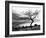 Solitary Tree on the Shore of Loch Etive, Highlands, Scotland, UK-Nadia Isakova-Framed Photographic Print