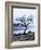 Solitary Tree on the Shore of Loch Etive, Highlands, Scotland, UK-Nadia Isakova-Framed Photographic Print