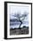 Solitary Tree on the Shore of Loch Etive, Highlands, Scotland, UK-Nadia Isakova-Framed Photographic Print