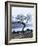 Solitary Tree on the Shore of Loch Etive, Highlands, Scotland, UK-Nadia Isakova-Framed Photographic Print