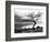 Solitary Tree on the Shore of Loch Etive, Highlands, Scotland, UK-Nadia Isakova-Framed Photographic Print