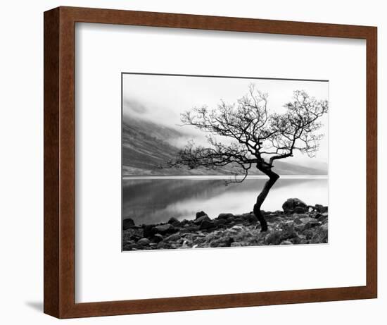 Solitary Tree on the Shore of Loch Etive, Highlands, Scotland, UK-Nadia Isakova-Framed Photographic Print