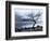 Solitary Tree on the Shore of Loch Etive, Highlands, Scotland, UK-Nadia Isakova-Framed Photographic Print