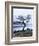 Solitary Tree on the Shore of Loch Etive, Highlands, Scotland, UK-Nadia Isakova-Framed Photographic Print