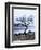 Solitary Tree on the Shore of Loch Etive, Highlands, Scotland, UK-Nadia Isakova-Framed Photographic Print