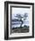 Solitary Tree on the Shore of Loch Etive, Highlands, Scotland, UK-Nadia Isakova-Framed Photographic Print