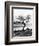 Solitary Tree on the Shore of Loch Etive, Highlands, Scotland, UK-Nadia Isakova-Framed Photographic Print