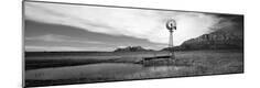 Photographic Print