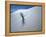 Solitary Yucca Grows on Gypsum Sand Dune, White Sands National Monument, New Mexico, USA-Jim Zuckerman-Framed Premier Image Canvas