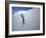 Solitary Yucca Grows on Gypsum Sand Dune, White Sands National Monument, New Mexico, USA-Jim Zuckerman-Framed Photographic Print