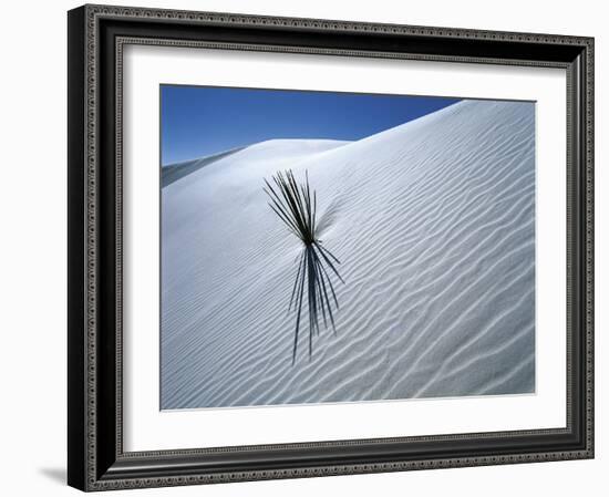 Solitary Yucca Grows on Gypsum Sand Dune, White Sands National Monument, New Mexico, USA-Jim Zuckerman-Framed Photographic Print